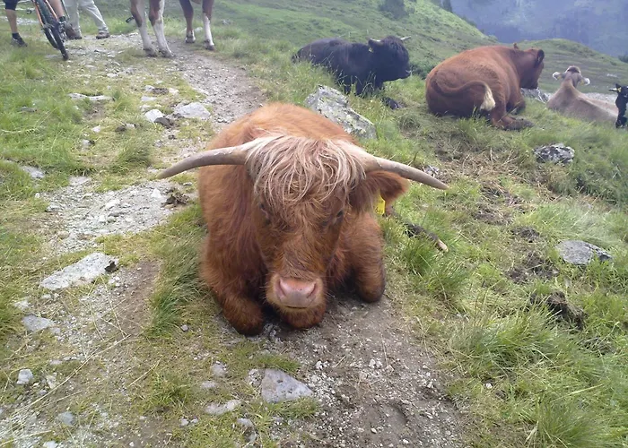 Silva Peak Residences Galtuer-ischgl-tirol 4*