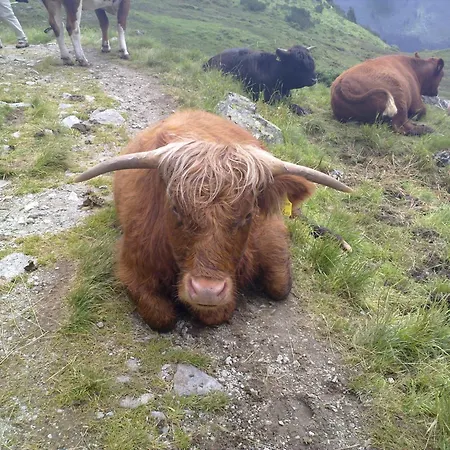 Silva Peak Residences Galtuer-ischgl-tirol 4*